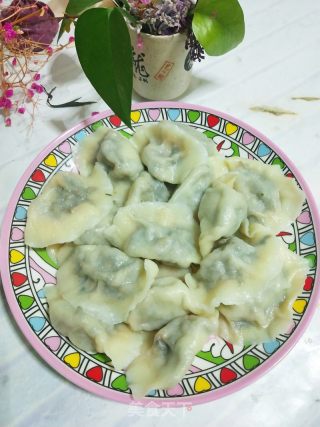 柳蒿芽猪肉馅饺子