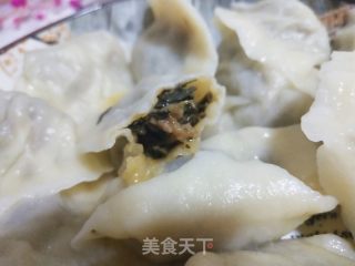 柳蒿芽猪肉馅饺子的做法步骤：10