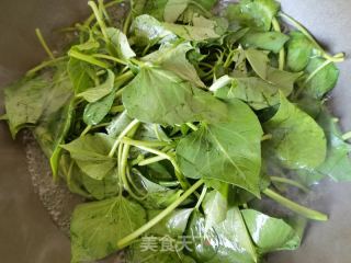 花生辣酱拌红薯叶的做法步骤：5
