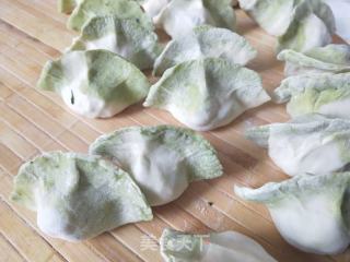 双色山芹菜饺子的做法步骤：7