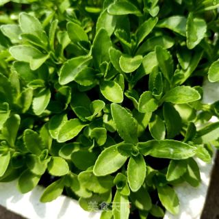 木耳养心菜拌虾仁的做法步骤：1