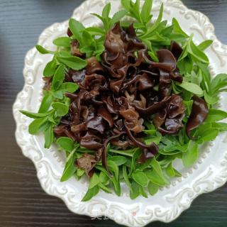 木耳养心菜拌虾仁的做法步骤：10