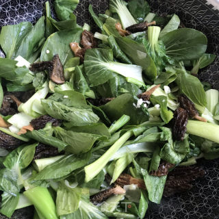 羊肚菌炒青菜的做法步骤：8