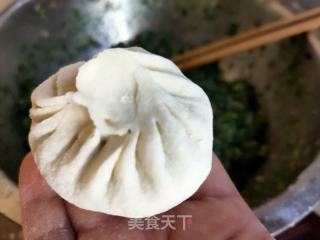猪肉茴香包子的做法步骤：9