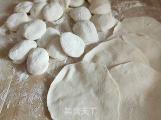 韭菜鸡蛋素水饺的做法步骤：9