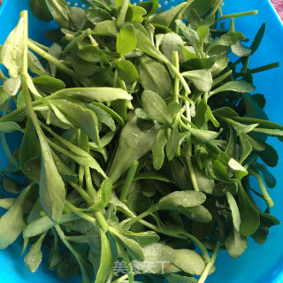 高钙菜煎鸡蛋的做法步骤：1