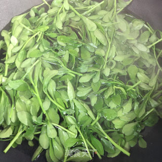 高钙菜煎鸡蛋的做法步骤：4