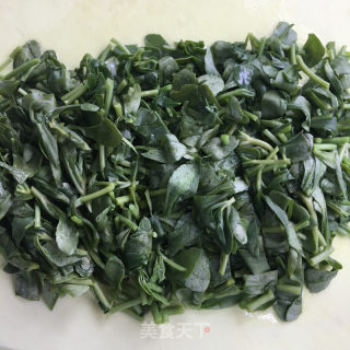 高钙菜煎鸡蛋的做法步骤：5