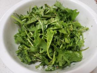 凉拌苦菊的做法步骤：5