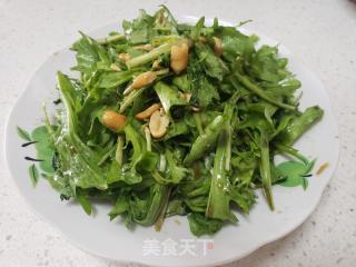 凉拌苦菊的做法步骤：6