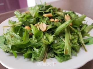 凉拌苦菊的做法步骤：7