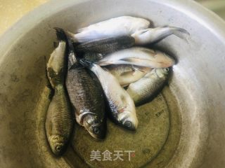 冬瓜鲫鱼炖豆腐的做法步骤：1