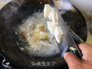 冬瓜鲫鱼炖豆腐的做法步骤：7