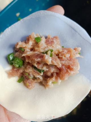 双色猪肉馅饺子的做法步骤：11