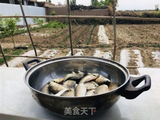 野生小鲫鱼汤的做法步骤：1