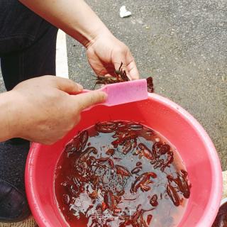 麻香辣小龙虾的做法步骤：1