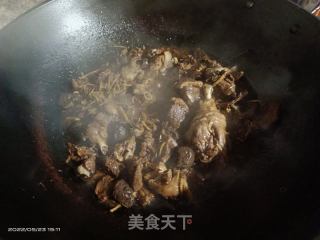 姜丝焖鸭肉的做法步骤：8
