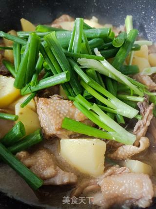 土豆炖鸡块的做法步骤：9