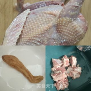 天麻炖老鸽的做法步骤：1