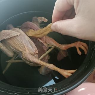 天麻炖老鸽的做法步骤：4