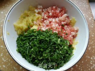 韭菜土豆鲜肉煎饺的做法步骤：5