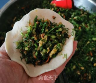茴香包子的做法步骤：13