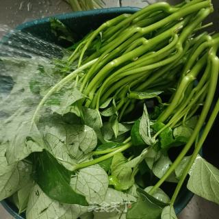 猪油炒红薯藤的做法步骤：1