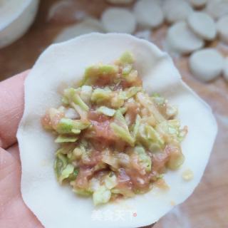 猪肉甘蓝水饺的做法步骤：7