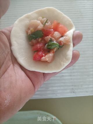 番茄鸡肉水饺的做法步骤：13