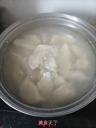 番茄鸡肉水饺的做法步骤：15