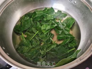 荠菜猪肉包的做法步骤：4