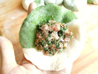荠菜猪肉包的做法步骤：12
