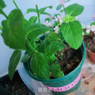 薄荷炒鸡蛋的做法步骤：1