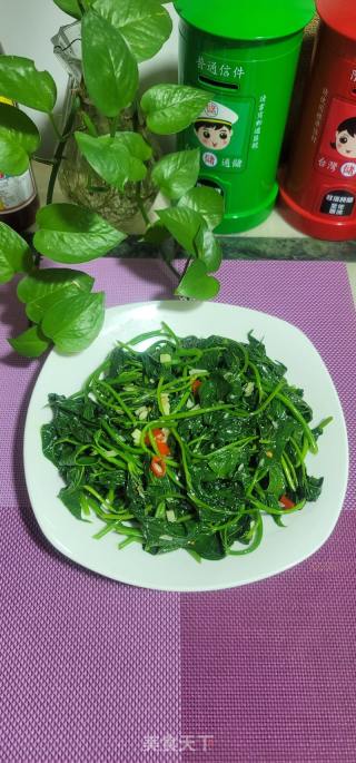 小米辣蒜末炒番薯叶的做法步骤：6