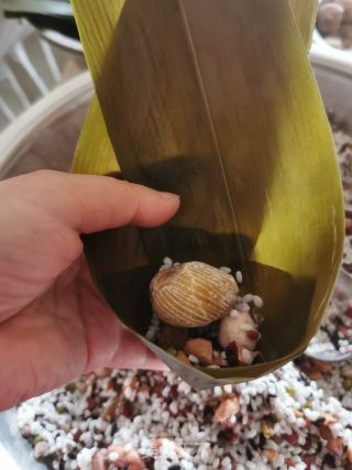 八宝粽的做法步骤：23