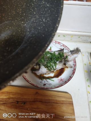 葱香蒸鲈鱼的做法步骤：4