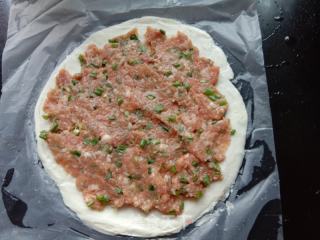 香葱猪肉饼的做法步骤：3