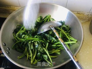 蒜蓉空心菜的做法步骤：5