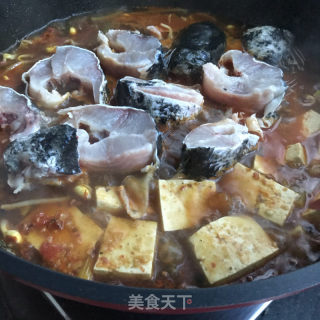 麻辣豆腐炖黑鱼的做法步骤：7