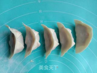 胡萝卜猪肉水饺的做法步骤：6