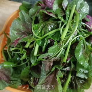 皮蛋烩苋菜的做法步骤：2