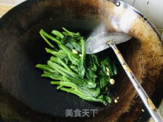 蒜子芥兰的做法步骤：5