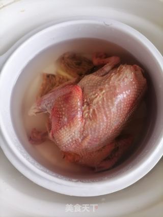 天麻鸽子汤的做法步骤：3