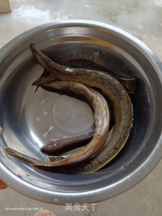沙虫干贝刀鳅黄鳝粥的做法步骤：1
