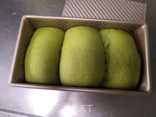 蜜豆抹茶吐司的做法步骤：14