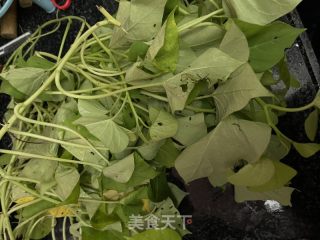 蒜蓉炒番薯叶的做法步骤：1