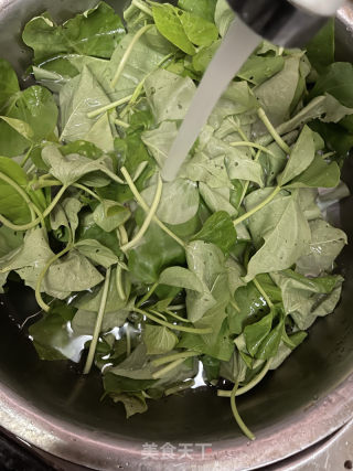 蒜蓉炒番薯叶的做法步骤：2