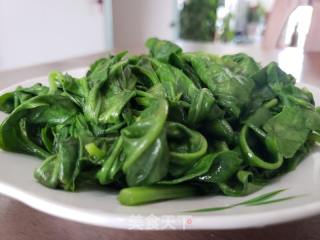 清炒明月草的做法