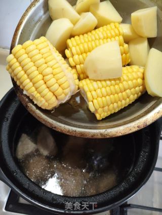 蕃茄玉米土豆扇骨汤的做法步骤：6