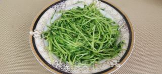 清炒豆苗的做法